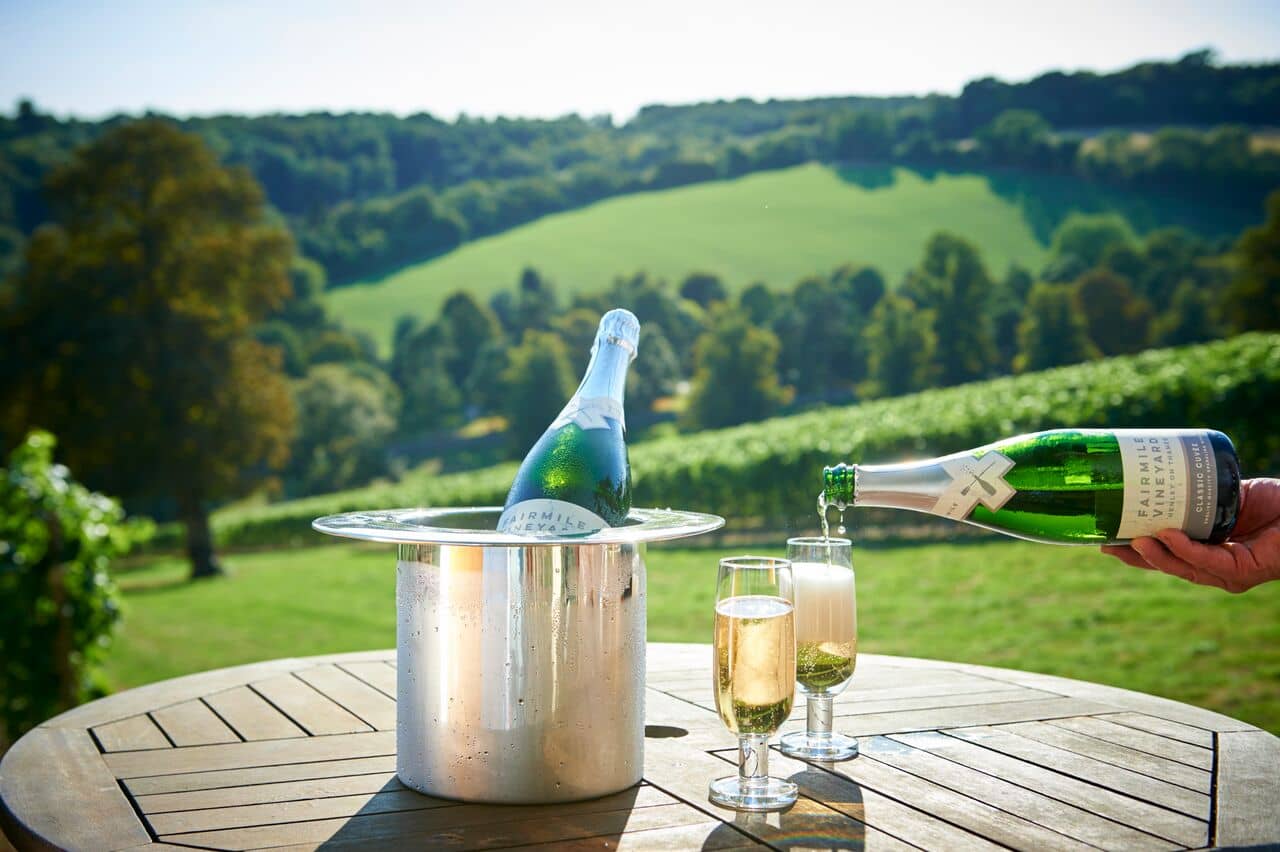 Fairmile vineyard